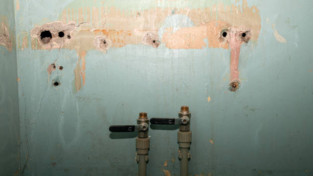 Best Water damage repair service  in Wauwatosa, WI