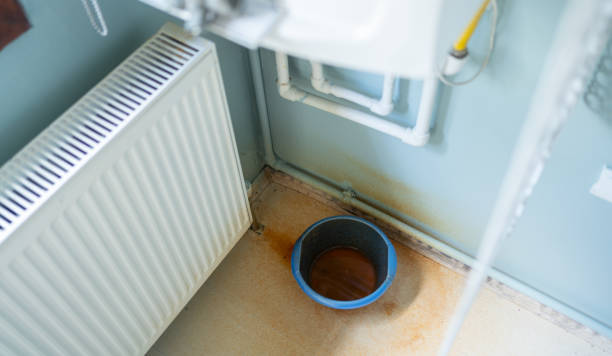 Best Mold removal after water damage  in Wauwatosa, WI